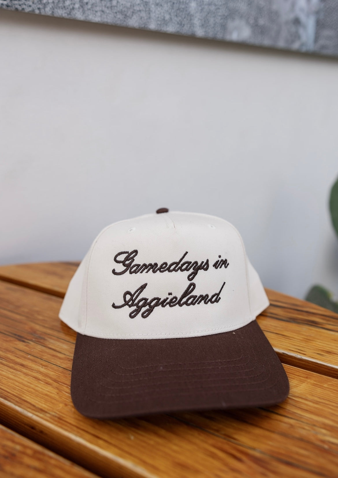 Gamedays in Aggieland - vintage hat